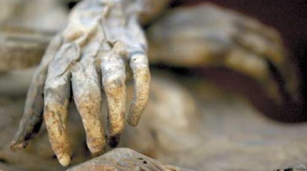 o lume tacuta tacuta tacuta