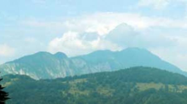 stam pe aur si cersim