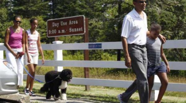 paradisul familiei obama