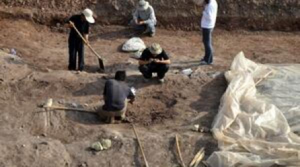 importanta descoperire arheologica in brazilia