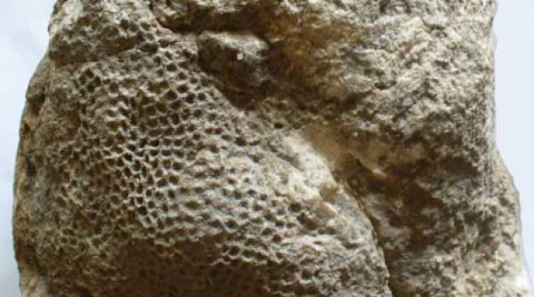 oceanul de sub lacul rosu