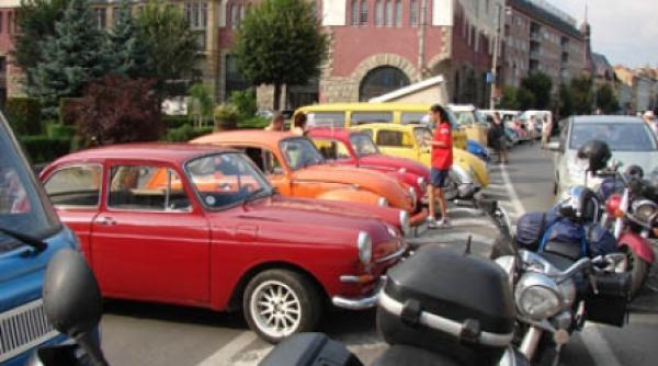 invazia broscutelor la tirgu mures