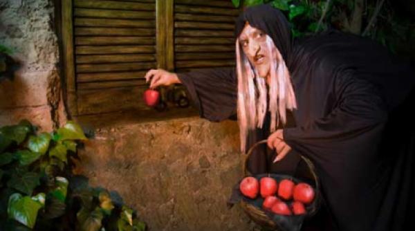 povesti pentru tot anul