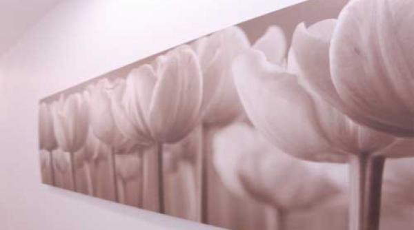 rasfata te la spa din cap pana n picioare