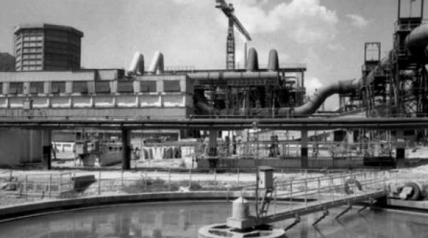 crucile din cimitirul economiei romanesti