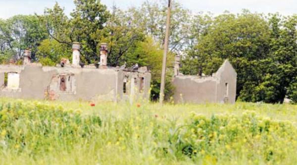 stapanul plajelor salbatice