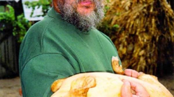 ore la taina despre ardeal