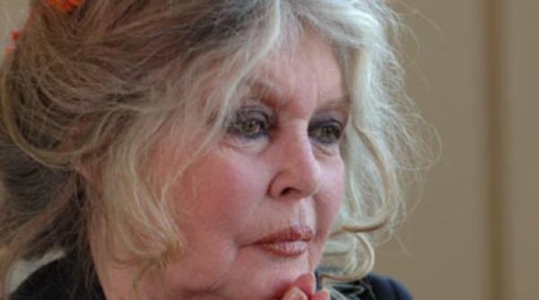 brigitte bardot carla bruni este o needucata