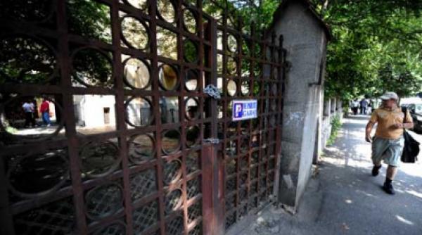 cosmarul editurii curtea veche continua