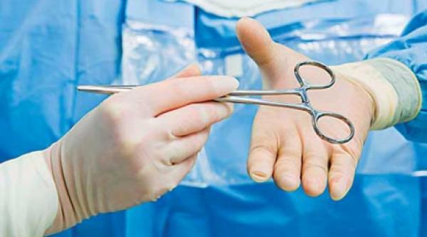 organe care si schimba rolurile in piesa vietii