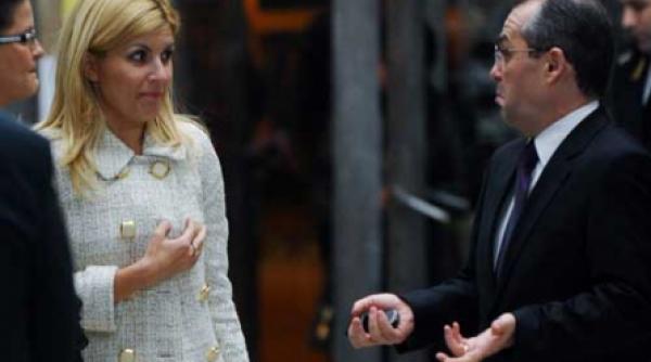 udrea isi rearanjeaza ploile stricate de boc