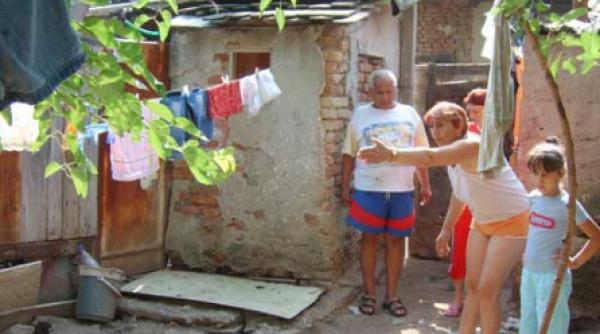 explore the danubian bushes