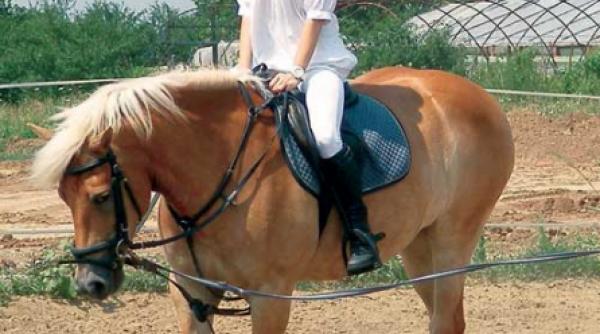 laura cosoi pasionata de echitatie