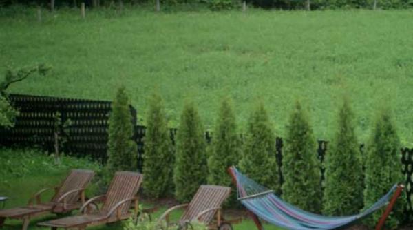 ce ne dorim de la gradina noastra