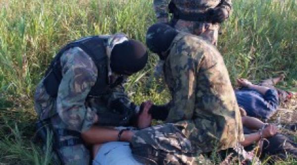 consilier portocaliu traficant de tigari