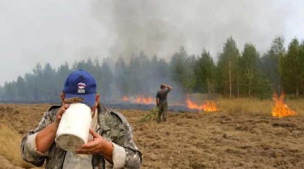 incendiile ard 15 miliarde de dolari