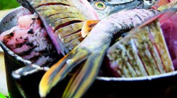 salvati bucatele deltei dunarii