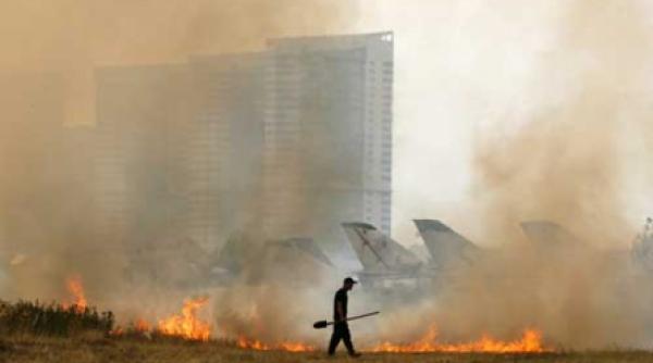 2010 anul cand natura simuleaza apocalipsa