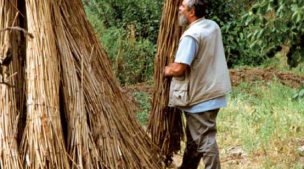 bucataria romaneasca