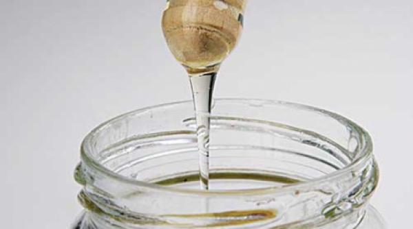 evenimente apicultura azi