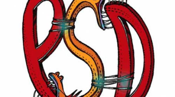 psd momentul rafuielii