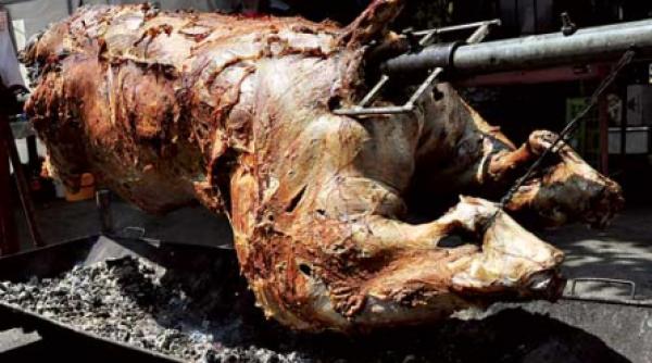 vitel la protap ca la argeseni