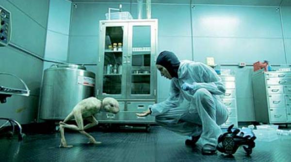 joaca de a doamne doamne