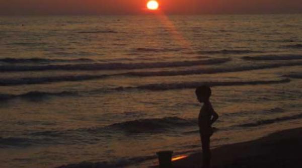 mute torturi sufletesti