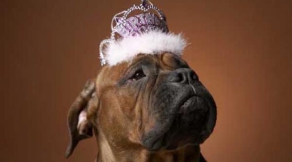 putintica stima de sine