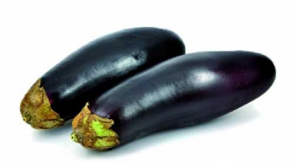 dovleacul si vinetele