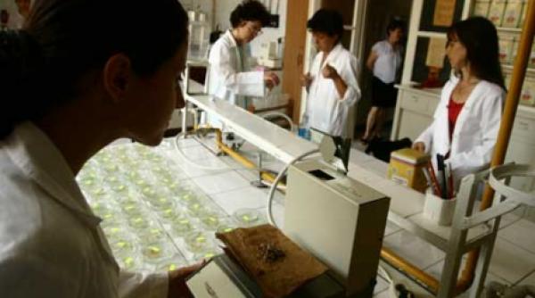 nu suntem in topul universitatilor