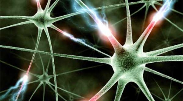 paralizia bell paralizia faciala periferica