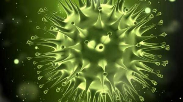 bacteria rezistenta la antibiotice