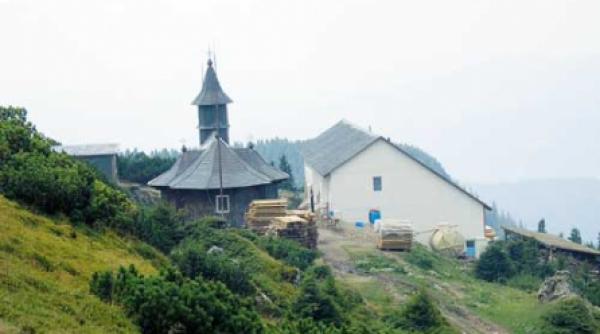 mitocuri si mitocani