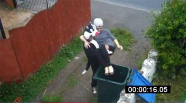 razbunarea pisicii aruncate in tomberon video