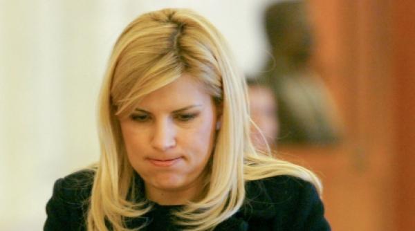 udrea cabinetul boc este un cabinet bun insa intotdeauna este loc de mai bine