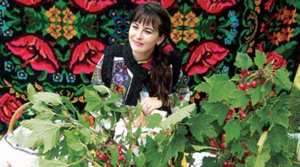 povesti cu dulciuri bucovinene