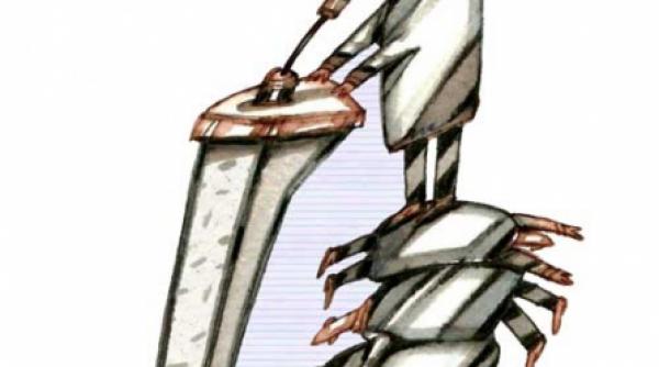 sapte guverne in sase ani