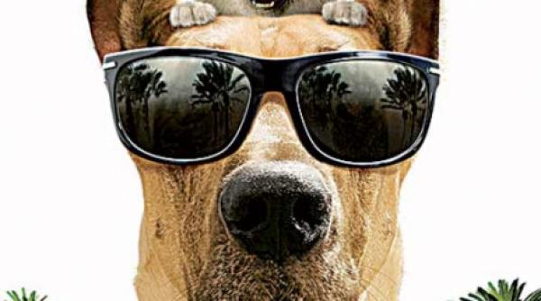 aventurile marelui danez