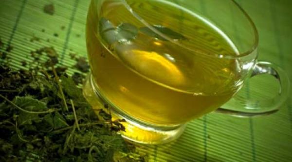 armura din vibratiile plantelor