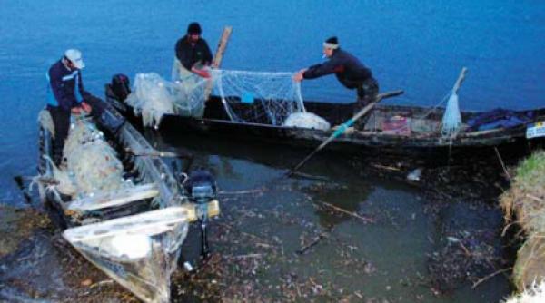 fondurile ue pentru piscicultura se deruleaza in ritm de melc