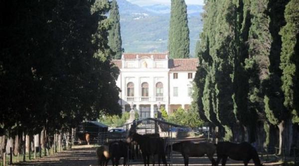 la dolce vita angelina si brad si au luat casa de 40 milioane de dolari