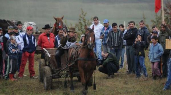 distractie rurala raliul de carute anima maine marpodul