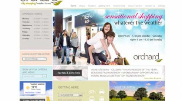 udrea se simte sabotata la frunza