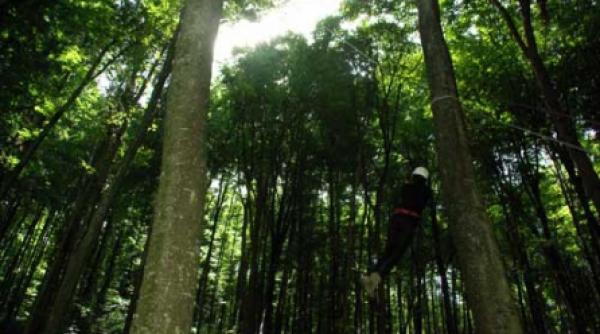 o vara la superlativ pentru fanii anime