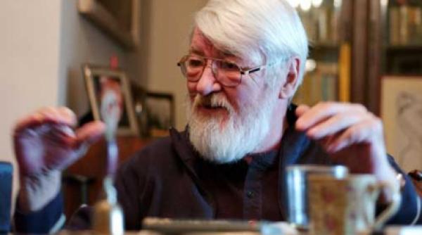 doi ani fara stefan iordache