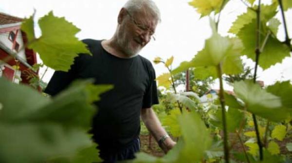 stefan iordache mi e tare dor multumesc