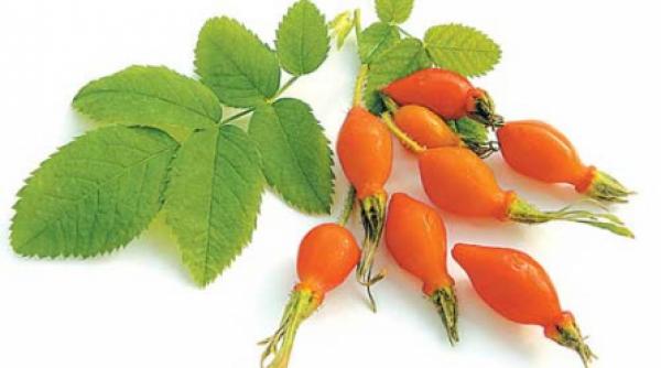 stimulente imunitare naturale