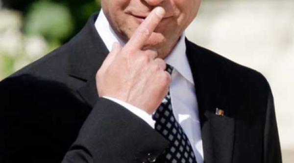 tigrul europei miauna de foame