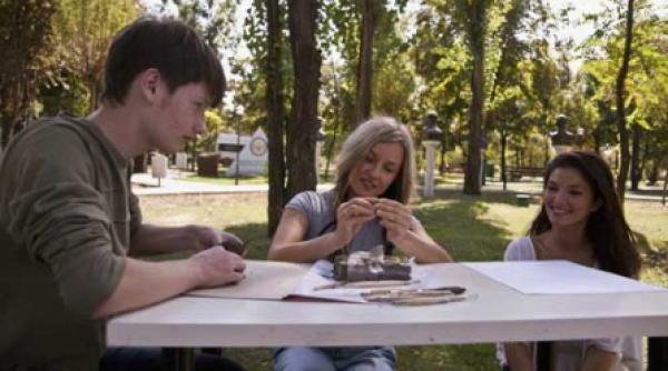 narcisa salbatica in gradina valorilor romanesti